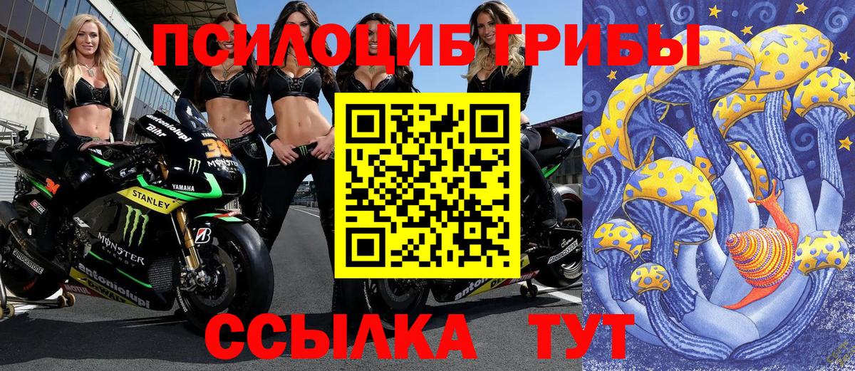 Керчь  Псилоцибиновые грибы Psilocybe  Вход с VPN 