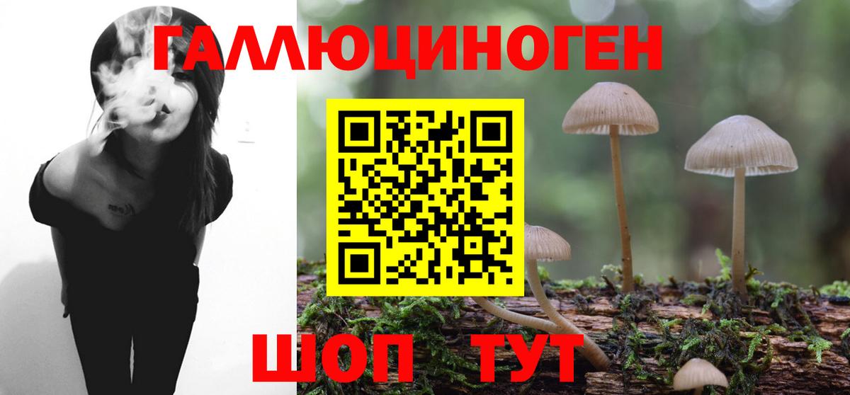 Псилоцибиновые грибы GOLDEN TEACHER Керчь